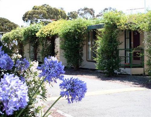 West City Motel Ardeer Екстериор снимка