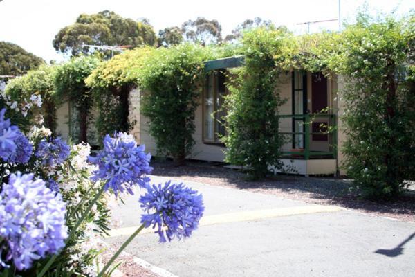 West City Motel Ardeer Екстериор снимка